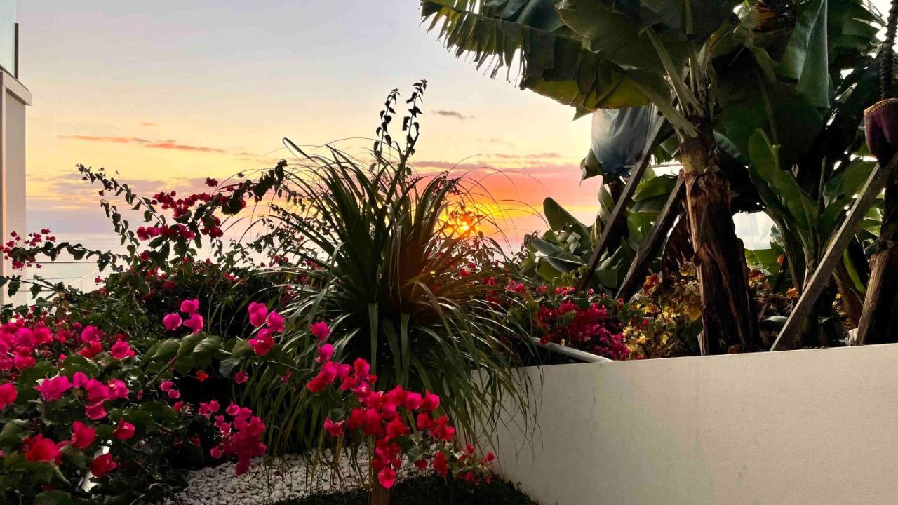 Holiday Apartment Sunset Ocean 리베이라브라바 외부 사진